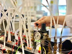 Caribbean Advanced Proficiency Examinations Chemistry Unit II — Exam Prep