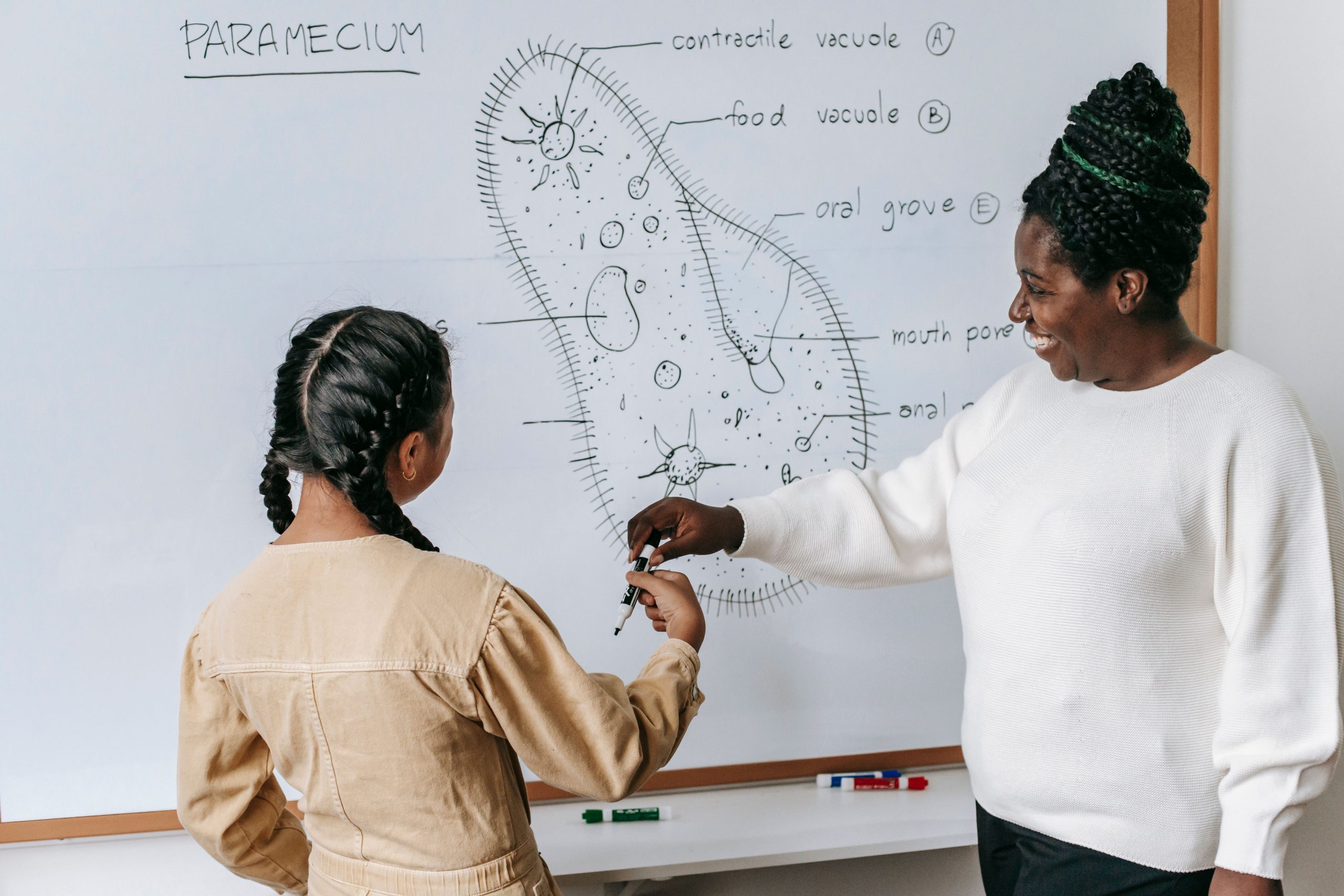 Smiling African American female teacher in casual clothes standing near whiteboard with scheme and helping pupil to write answer